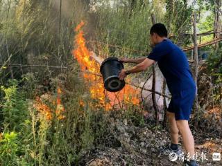 铁锨水桶齐上阵！路遇火情，青岛港两消防员就地取材紧急扑救