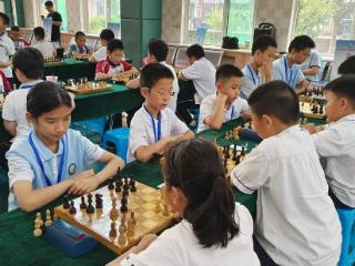 推动国际象棋进校园，2025济南市国际象棋校园团体赛举行