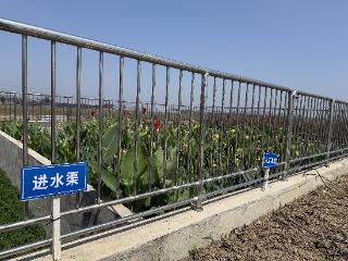 江淮环保世纪行|生态治理赋能乡村“颜值”“产值”双提升