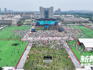 音乐节从娃娃抓起！德州新青年乐迷“幼崽”含量超标