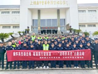 蓝盾之下：一个城郊村庄的平安密码