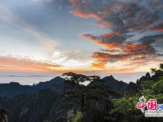 只有一个黄山：旭日破云海，朝霞染苍穹(图)