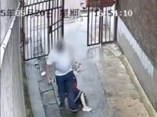 刘某某（男，38岁）拖拽6岁女童进小巷，警方通报