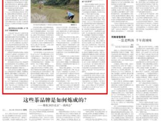 剑河红米“挥剑”出山！《农民日报》关注贵州特色农业品牌化县域实践样本