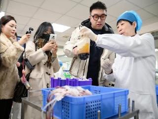 2025好网民·在山东 | 青岛市中心血站：构建无偿献血多元立体宣传格局