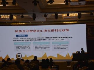 2025好网民·在山东|人民银行德州市分行“鲁贸汇企服务队”：攻坚项目 提升创新 优化服务 助推德州涉外经济高质量发展
