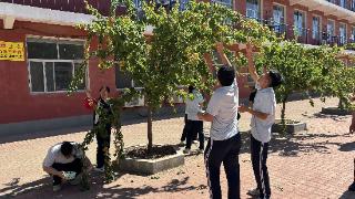 金黄杏果传心意 校园暖流润心田——东营市利津县陈庄镇中心学校“杏运传递”感恩活动温情举行