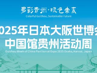 从贵州到大阪：一锅酸汤的跨国“漂流记” From Guizhou to Osaka: The Journey of a Sour-Soup Hot Pot