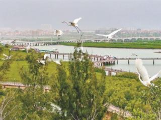 翔安建设美丽先行区 以生态优势助力经济高质量发展